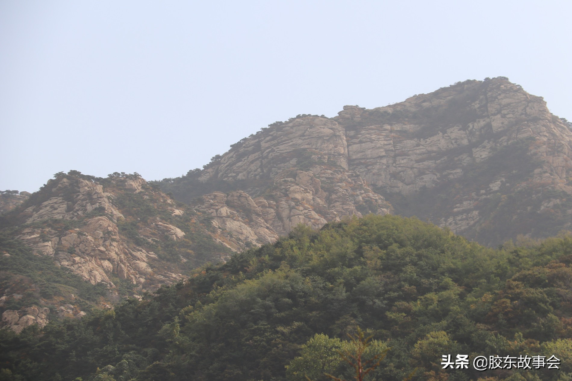 招远发生了什么大事,招远发生什么大事