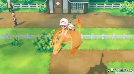 精灵宝可梦不为人知的秘密,精灵宝可梦进化次数最多