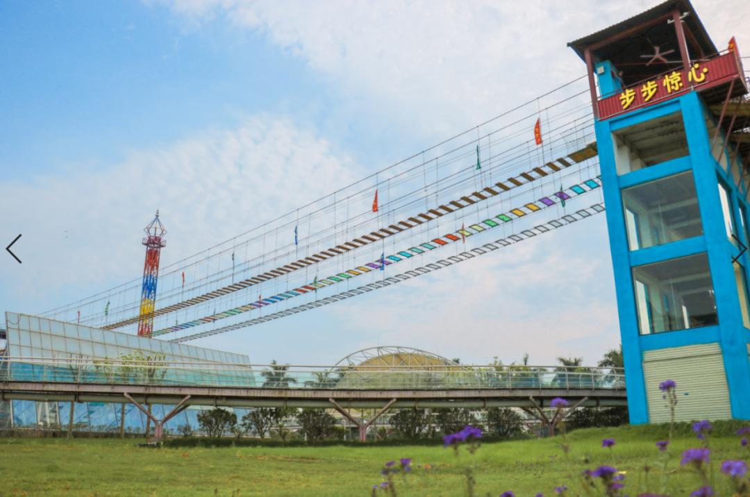 南沙葵园花海景区,广州南沙万顷葵园最佳旅游时间