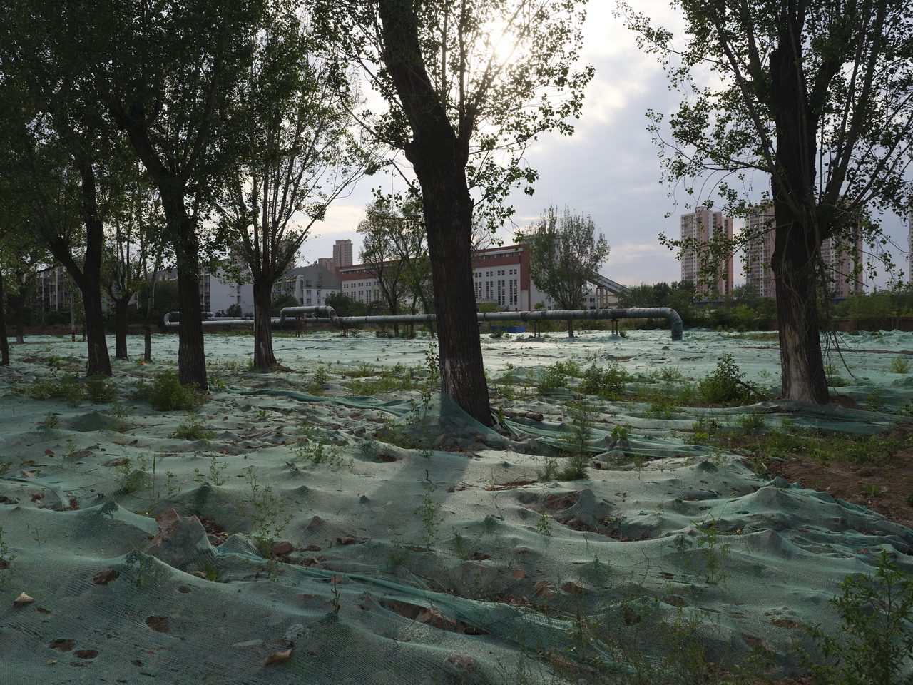 天津动力机厂下岗职工,天津动力机厂在哪