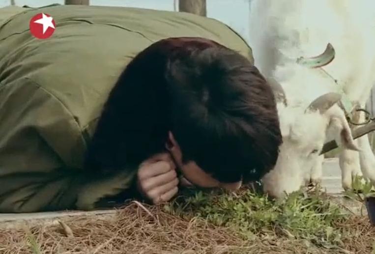 明星们也太爱智障人设了：徐璐分不清篮球和足球，包文婧不会算数