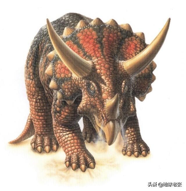 恐龙档案三角龙全集,恐龙危机第一集三角龙