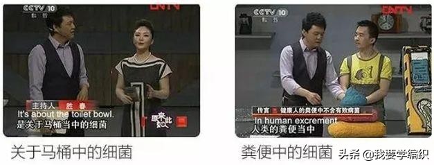 快速去除家中宠物臭味,下水道反味除臭杀菌