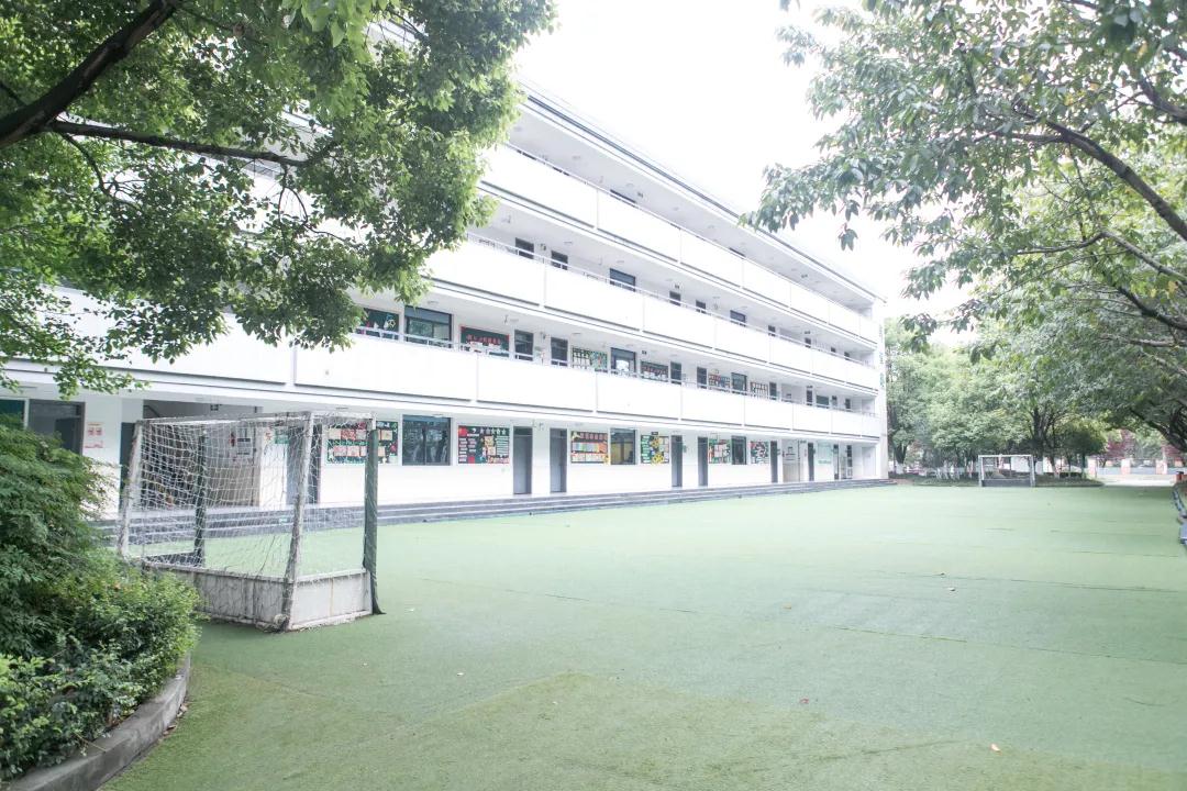 天府新区华阳小学与天府三小,天府新区比较好的小学