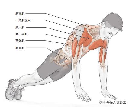 10种增强拳力的俯卧撑,每天200个俯卧撑增加手臂爆发力吗