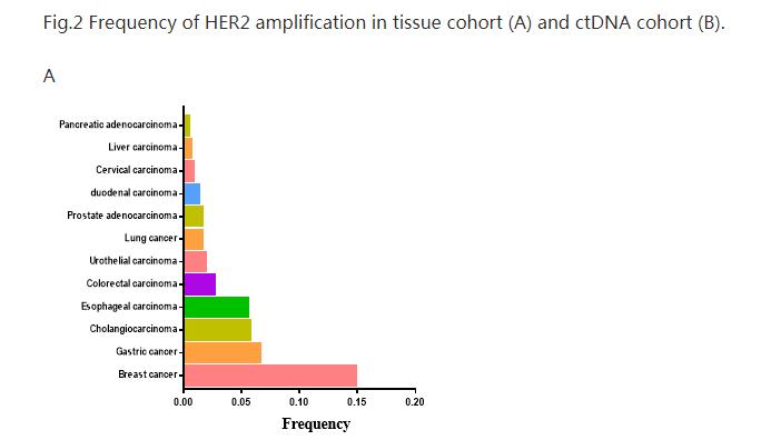 her2肺癌靶向药入集采了吗,肺癌her2靶向药治愈率
