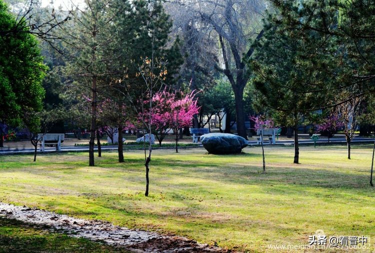 山西农大美丽的校园,山西农大校园风光