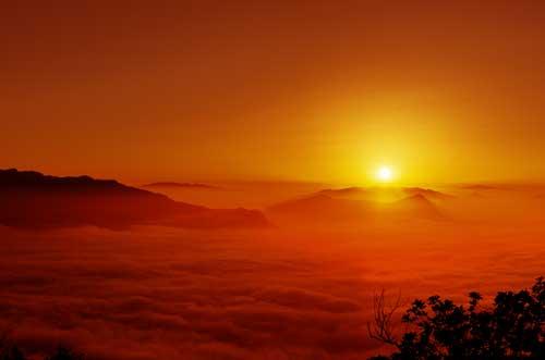 花卉植物租赁合同范文,机器租用合同模板