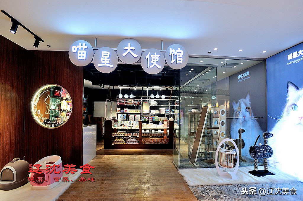 沈阳最新大型综合体,沈阳即将落户的大项目