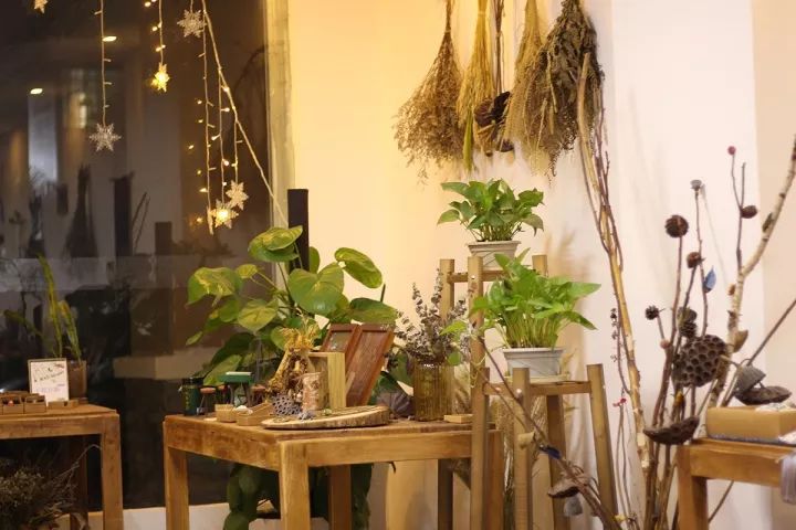 她31岁放弃北漂，回归自然，用枯枝败叶，打造了一个梦幻森林