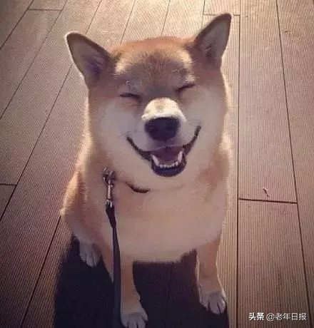 魔法猜谜游戏大全,办公室猜谜游戏