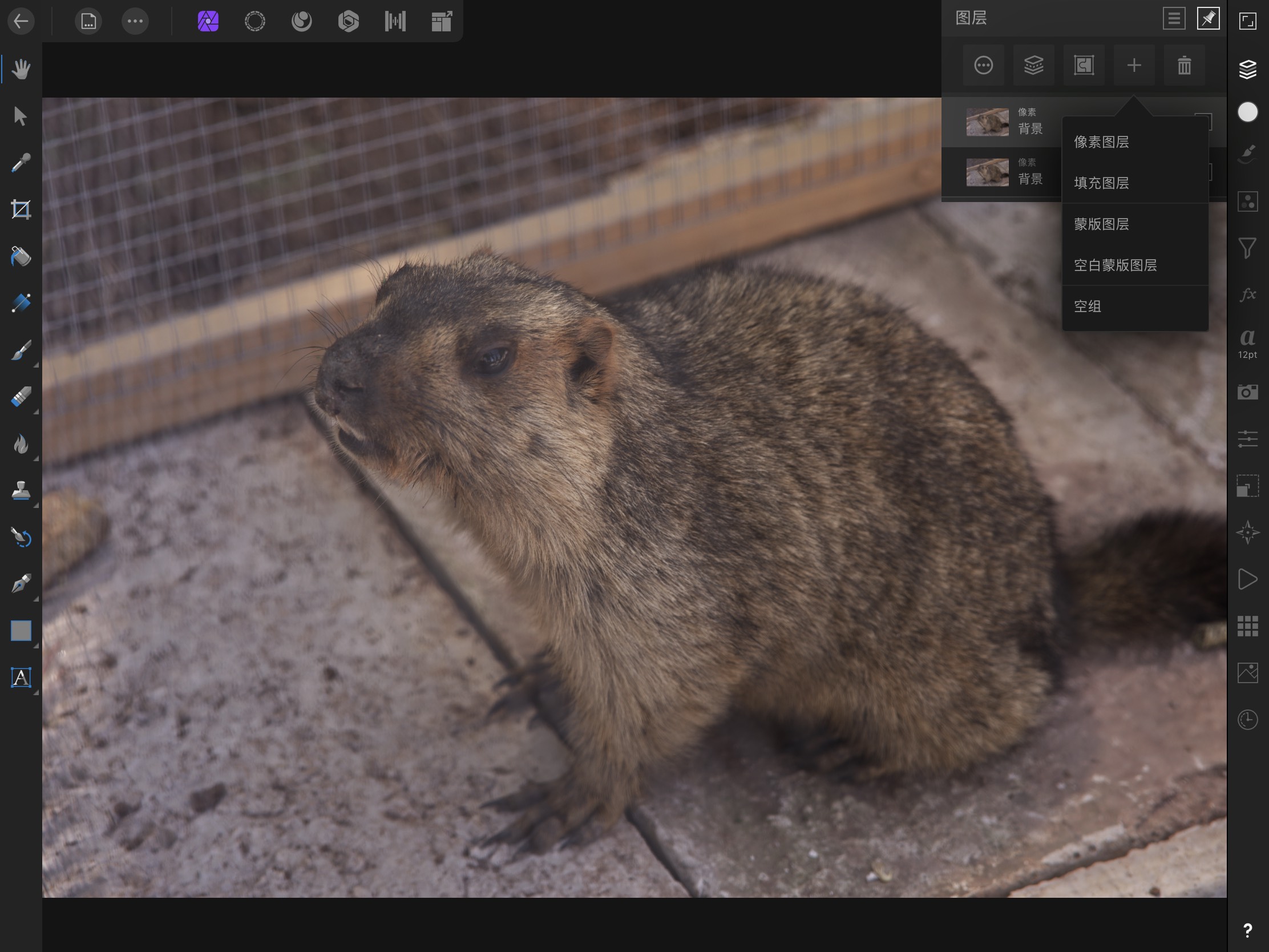 affinityphotoforipad蒙版,affinityphotoforipad
