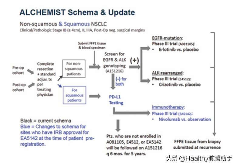 egfr20 733前端突变最适合的靶向药 (不同egfr突变位点靶向治疗)