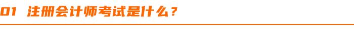 注册会计师考试全攻略,小白如何准备注册会计师考试