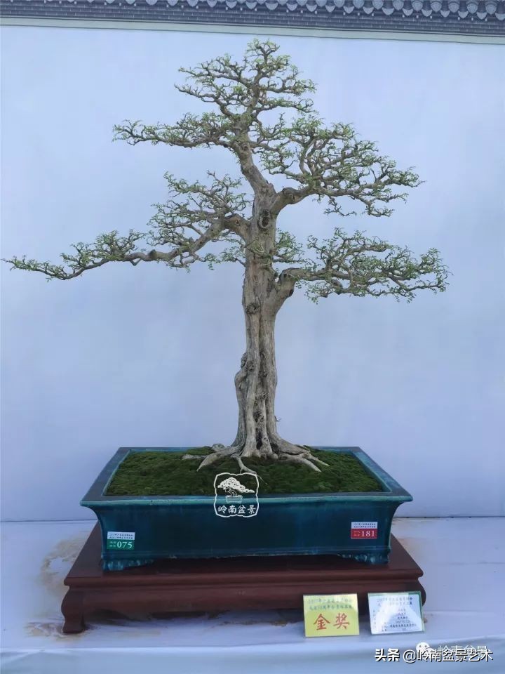 骞哥涔呬箙鐢滅敎铚滆湝,骞哥涔呬箙