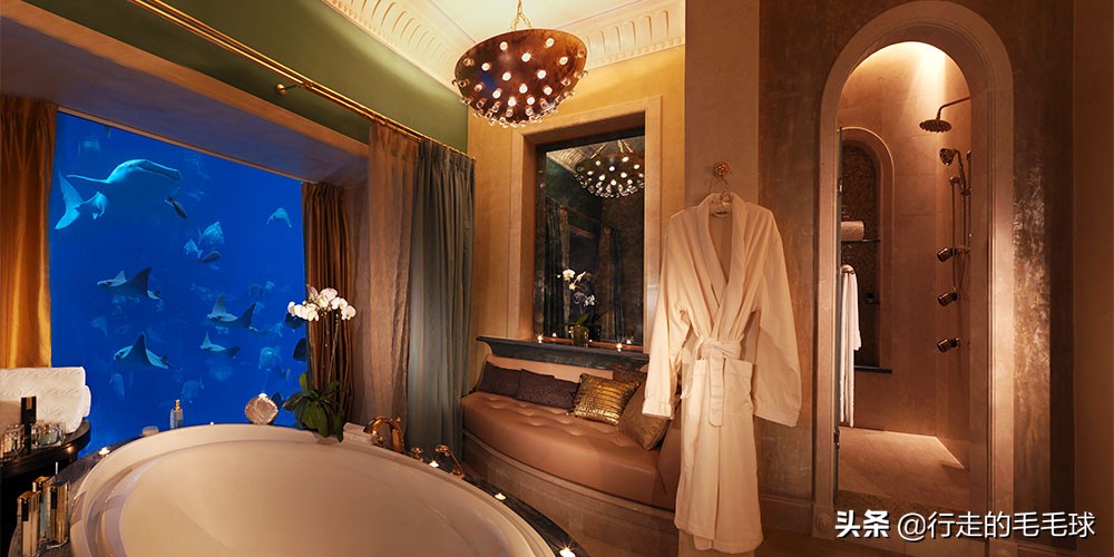 迪拜神秘海底世界,迪拜神奇的海底世界