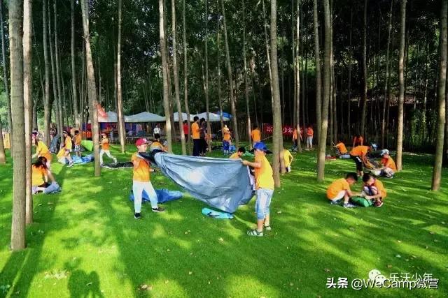 济南比较好的小学生夏令营,山东小学生夏令营