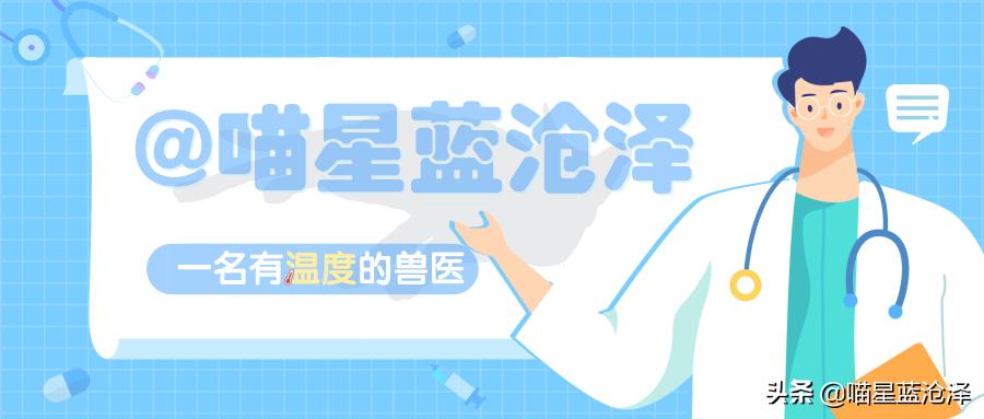 吾皇万岁万万岁,关于喵主子的冷知识,铲屎官们还不进来了解一下
