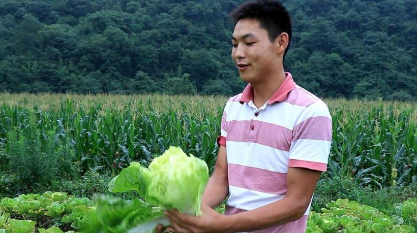 马云预言农村未来三个行业最赚钱,马云谈未来农村赚钱的机会