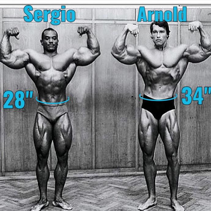 深蹲和硬拉会把屁股练大吗,深蹲和硬拉会把腿练粗