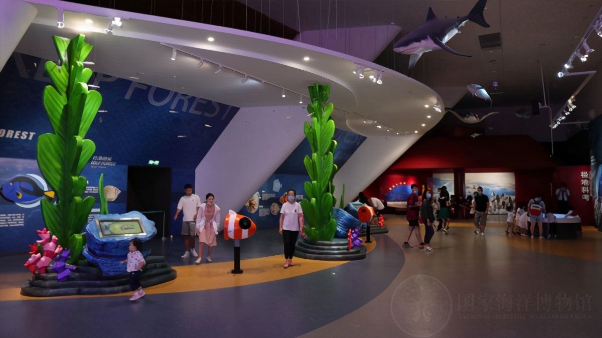 国家海洋博物馆游玩需要多久,天津生态城国家海洋博物馆