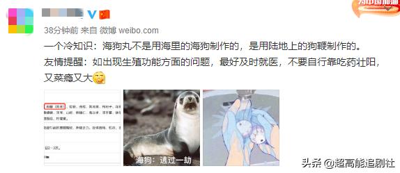 海狗丸平替,海狗丸up主