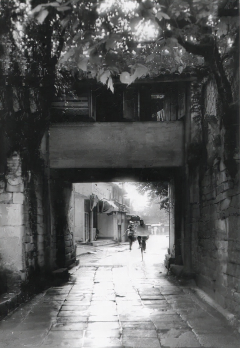 慈溪人文历史文化,慈溪为什么是浙江最富的县