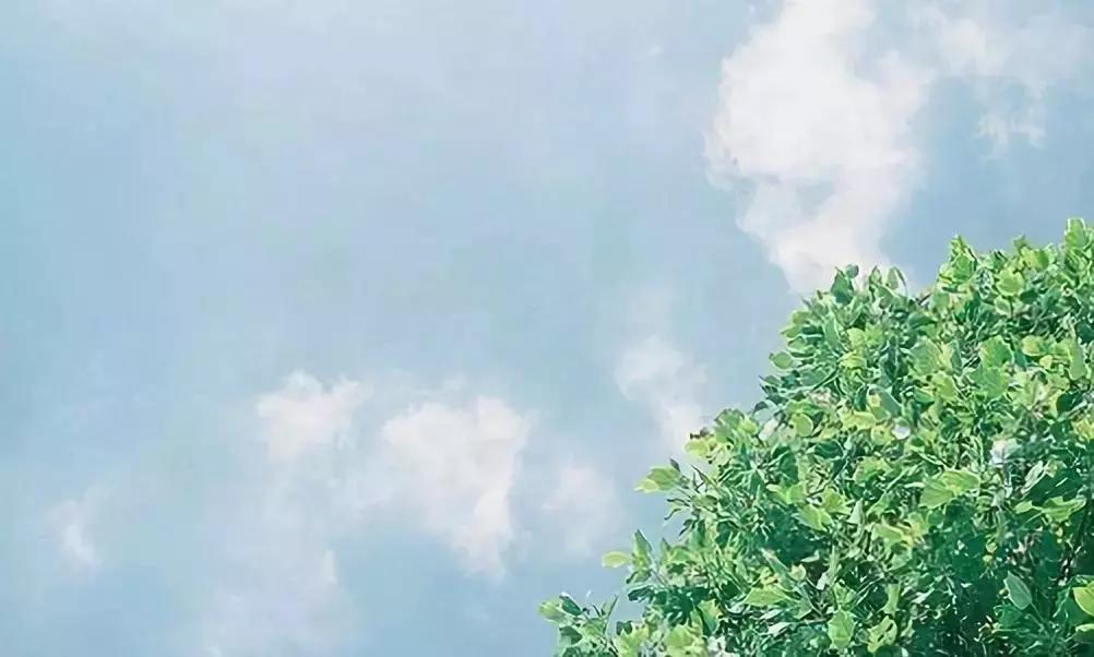 阳气发于什么穴位,中医认为人体阳气的根在肾