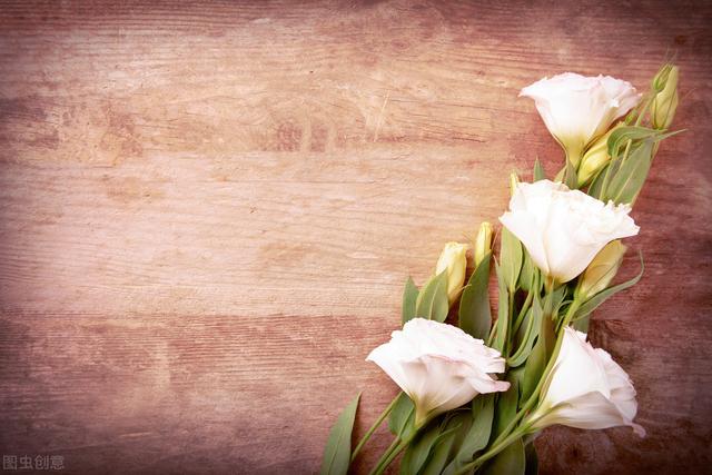 七年级作文一路花香,小学五年级优秀作文精选10篇