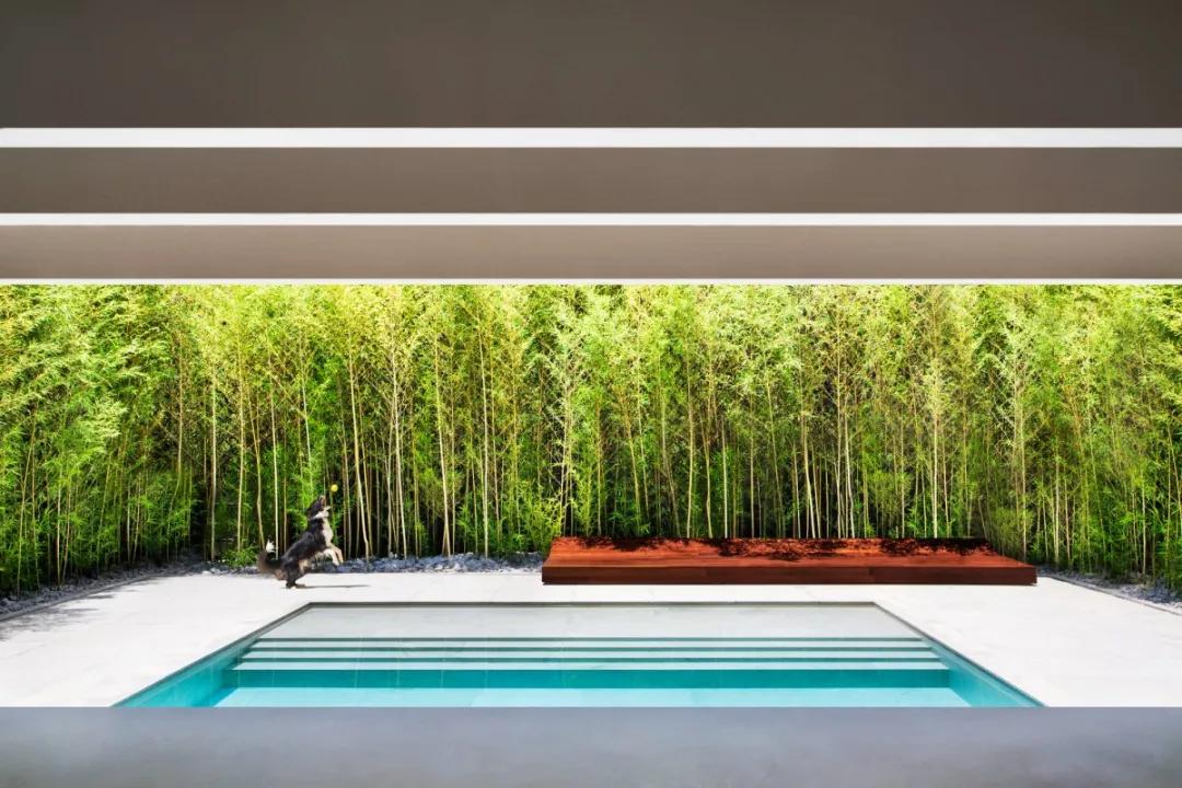 巴西最高端奢石,巴西简单英文介绍