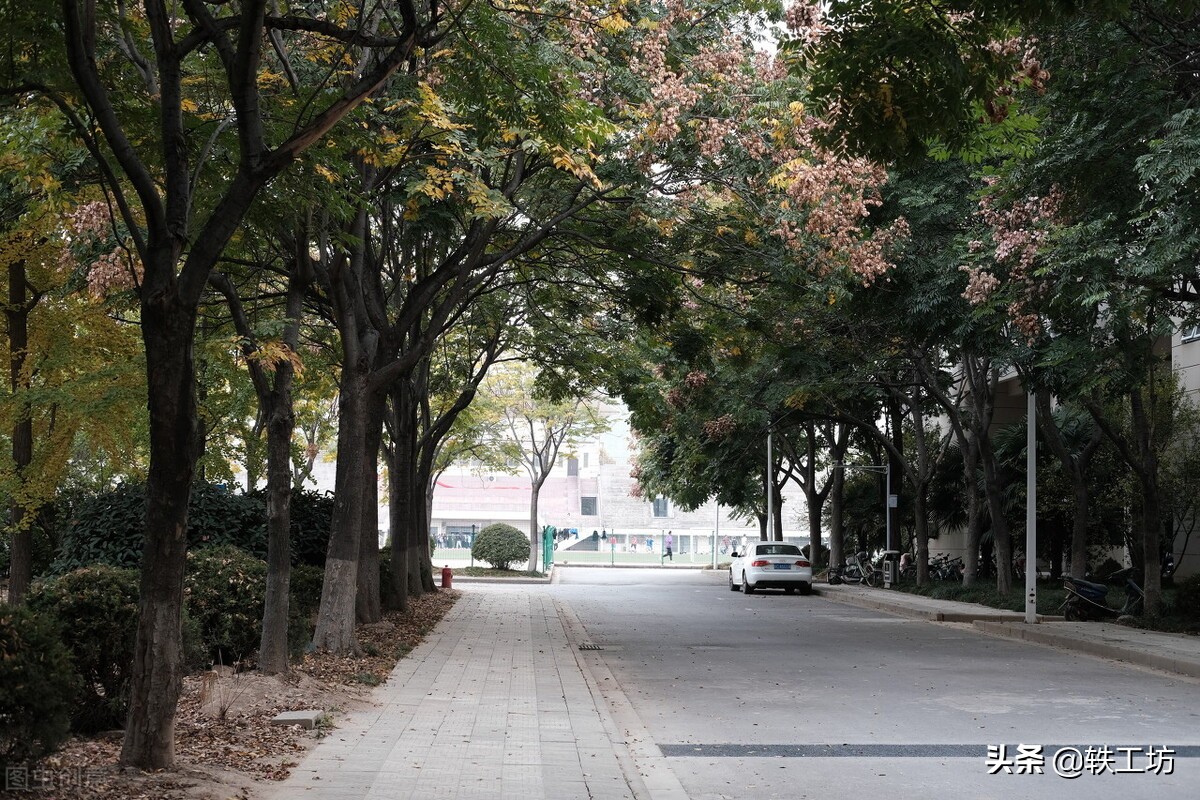 江苏好但分不高的大学,江苏最好的5所师范大学有哪些