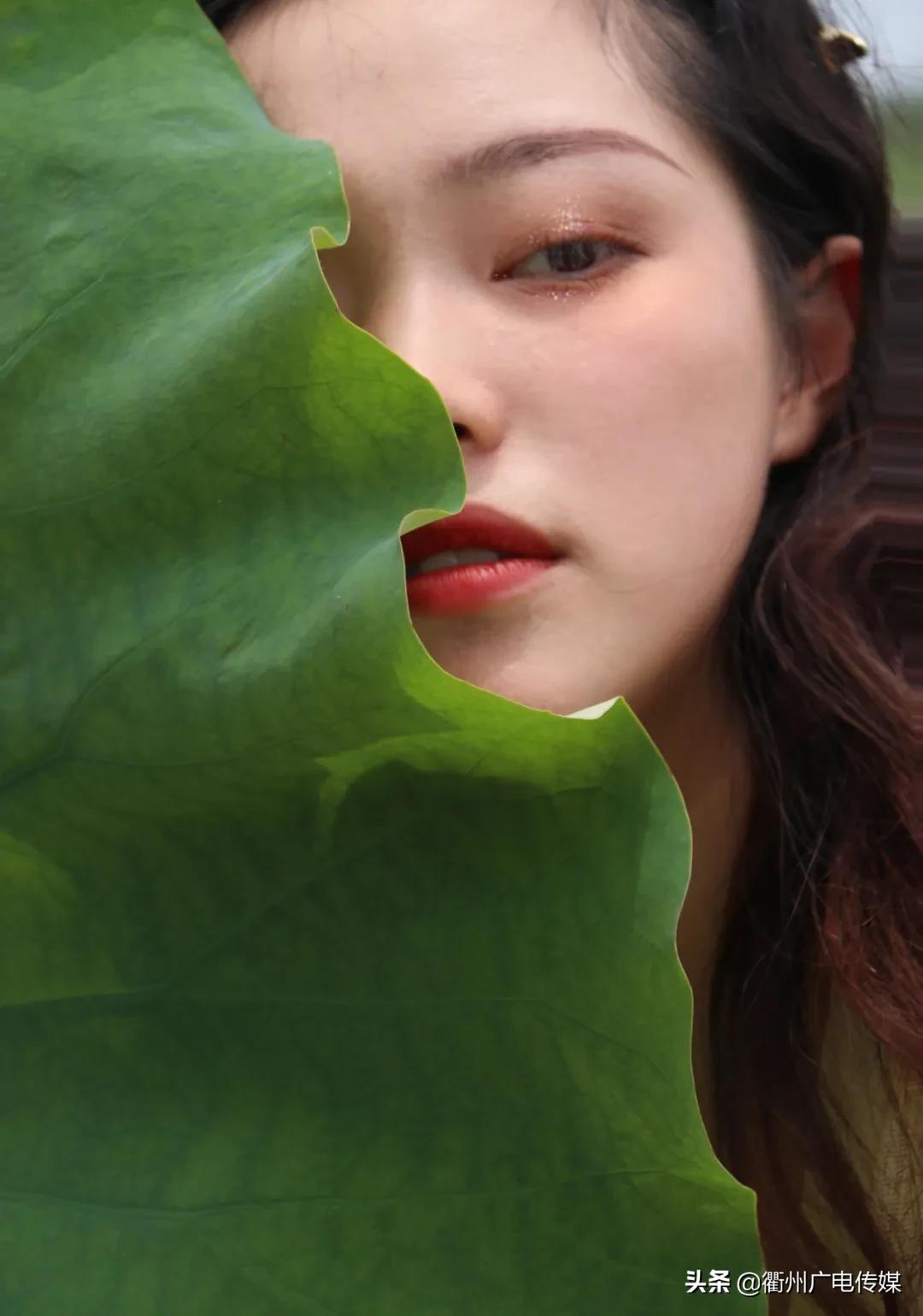 赏荷地图最新版,衢州赏荷