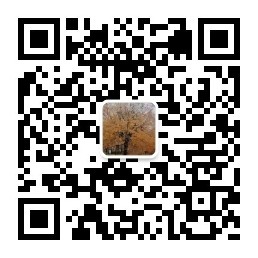 网络基础知识的认知概述,网络文学科普