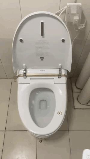 洋品牌马桶,马桶国外天价