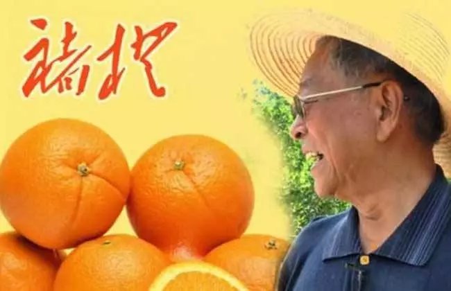 为什么大连发生宝马撞车事件，我却想到了褚时健？