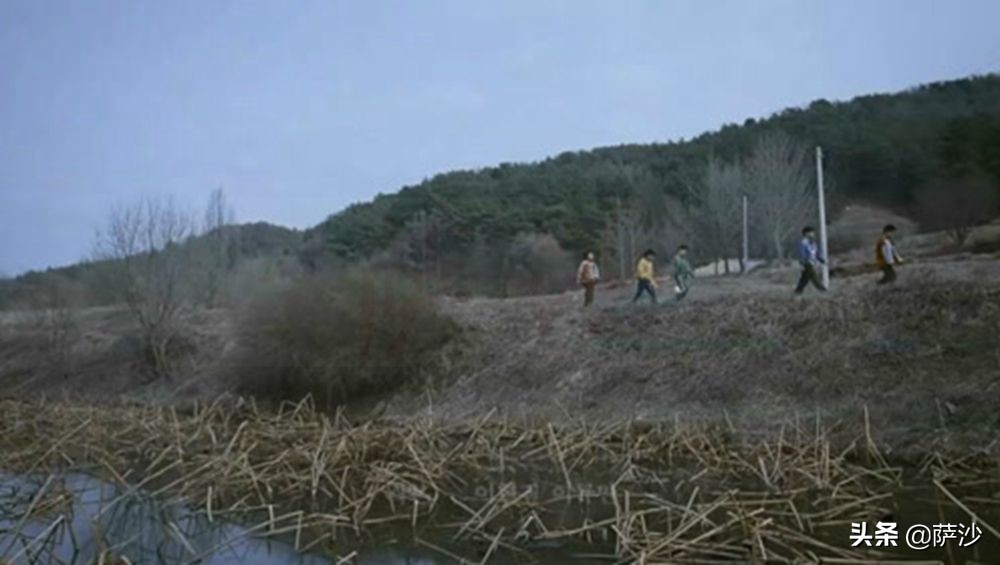 韩国青蛙少年真实案例,韩国失踪青蛙少年分析