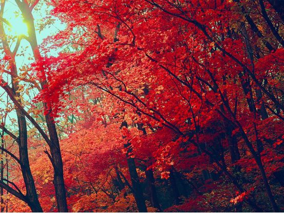 国庆七天要去哪里玩啊,国庆节七天怎么过不能出去玩