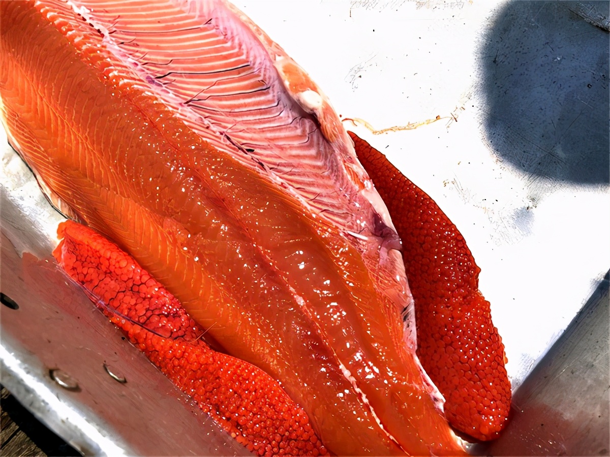 我是一个默默无闻的海钓人，但我可能吃过世界上所有的海鲜