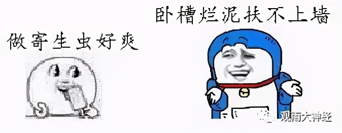 回顾2016，西方民主崩溃元年