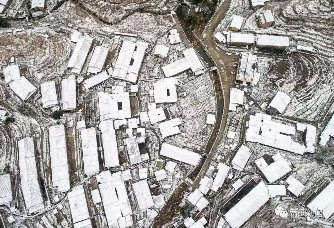 不只做红木、开金店！莆田人还会“滚雪球”?