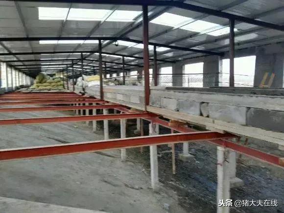 一条龙羊场,最大羊场