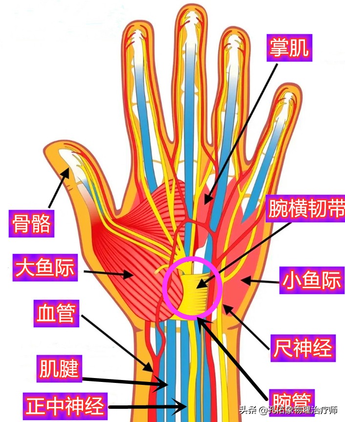 手指麻木是三大疾病前兆,手指麻木疼痛怎么治疗最好