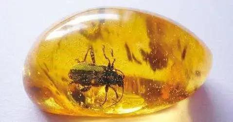 病理报告为什么这么慢,手术后病理报告准确率高吗