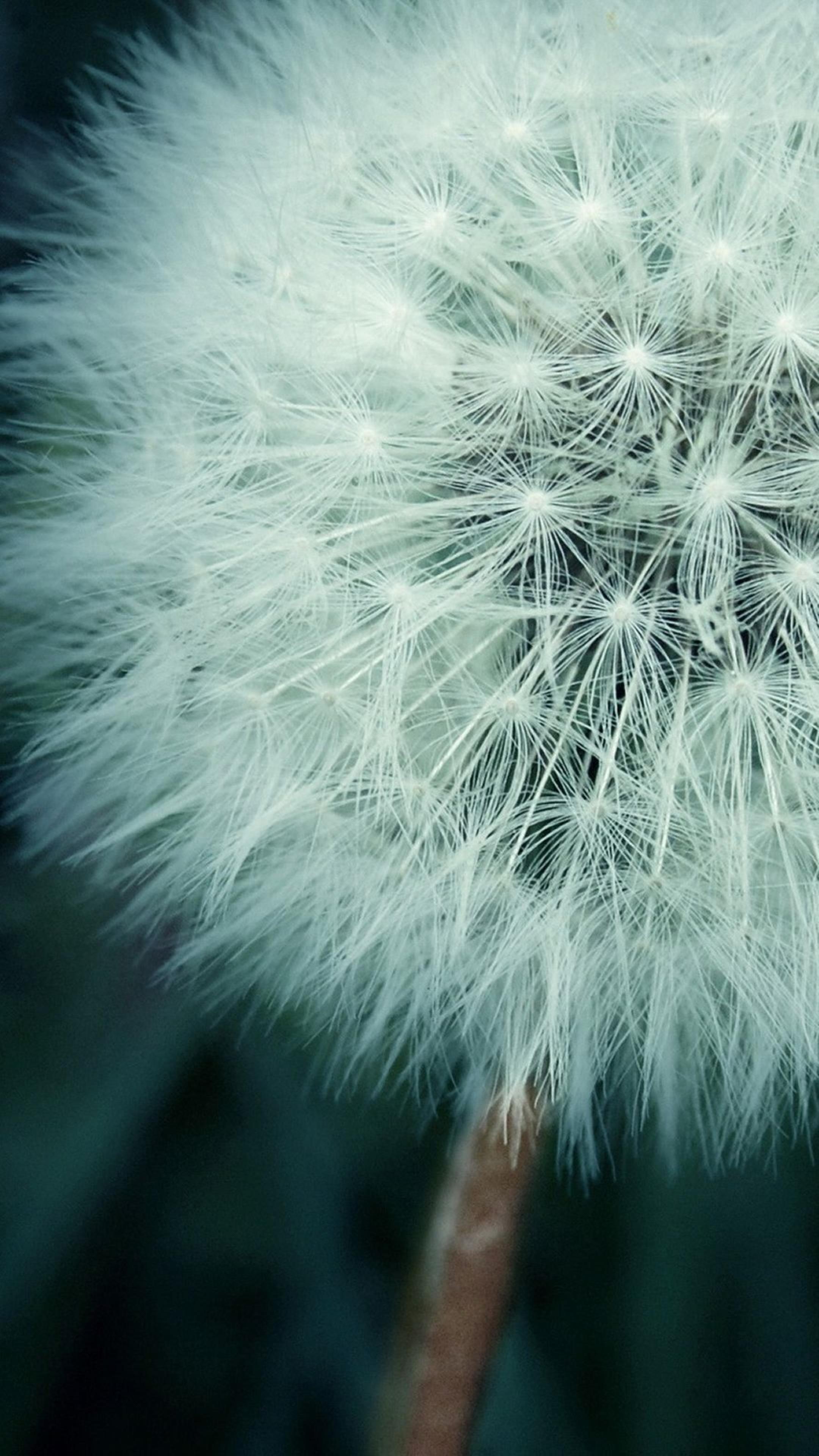 4k手机超清壁纸极简,4k超清手机壁纸高级感