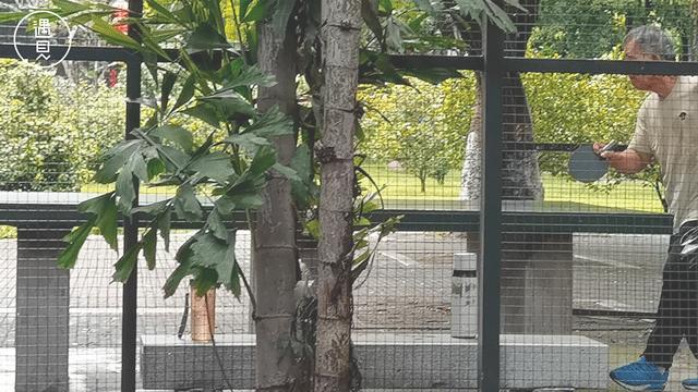 广州芳村未来发展趋势,广州荔湾芳村cbd