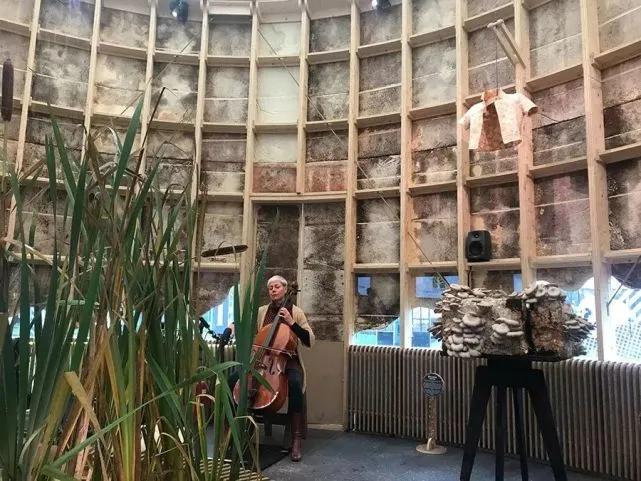 明明是新衣服，怎么上面长了蘑菇？荷兰人的时尚让人看不懂