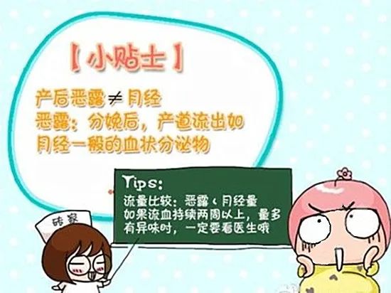 闽南月子排恶露,母羊产后恶露