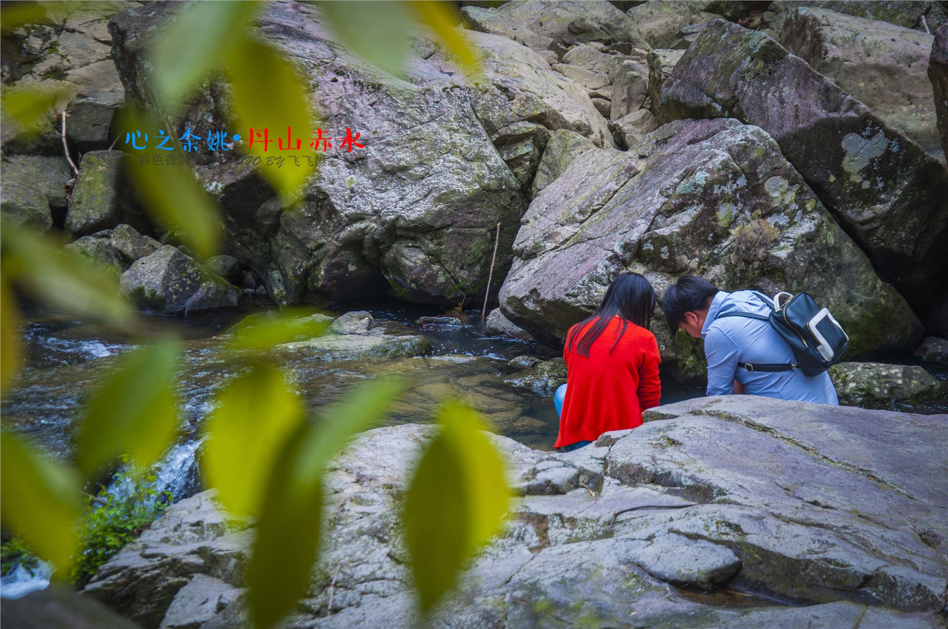 丹山赤水的老柿林景区,丹山赤水柿林古村