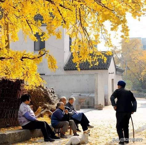 苏州太湖西山岛江浙沪最强攻略,太湖西山岛旅游完整攻略