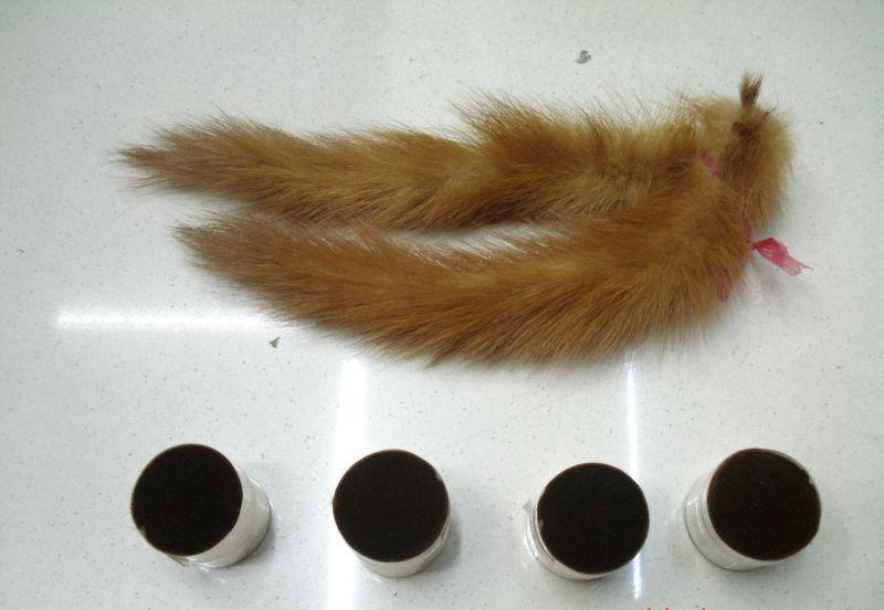 抓黄鼠狼罚960万,21人猎捕1.2万只黄鼠狼判赔近千万